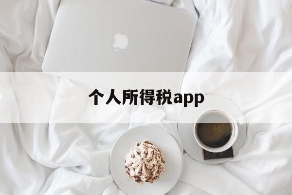 个人所得税app(个人所得税app正版官方下载)