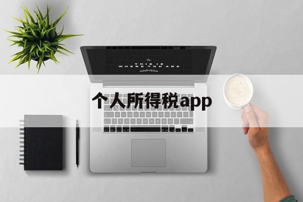 个人所得税app(个人所得税app下载)